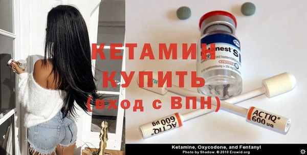 шишки Аркадак