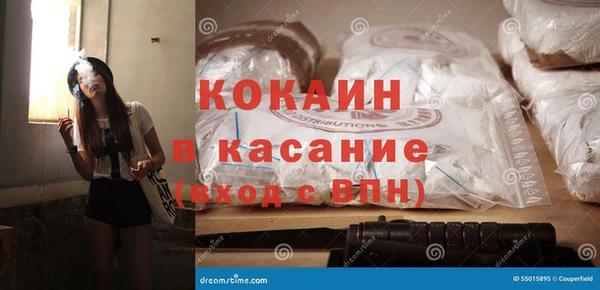 шишки Аркадак
