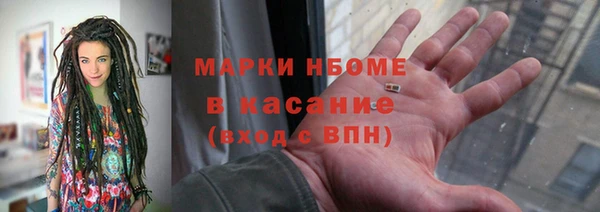 шишки Аркадак