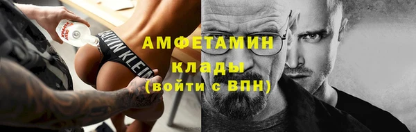 шишки Аркадак