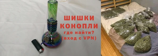 шишки Аркадак