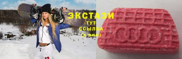 шишки Аркадак