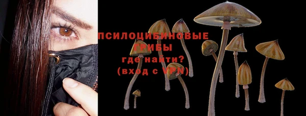 шишки Аркадак