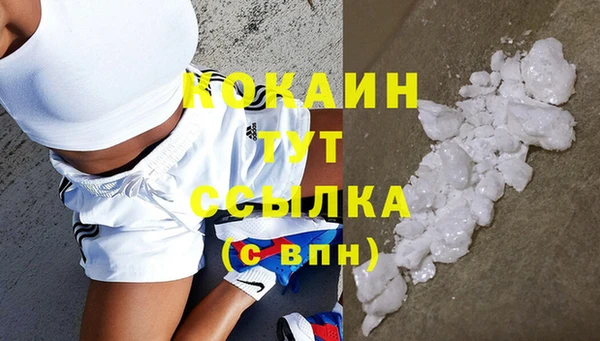 шишки Аркадак